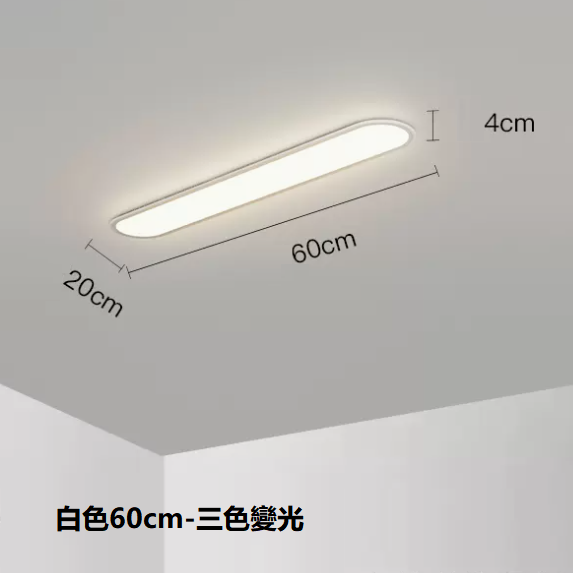 熱賣吸頂燈（白色60CM三色變光）