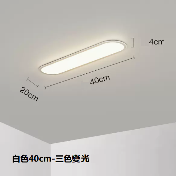 熱賣吸頂燈（白色40CM三色變光）