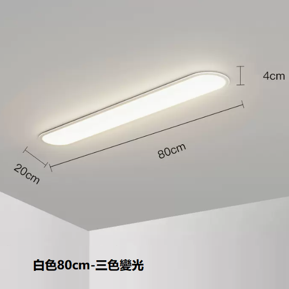 熱賣吸頂燈（白色80CM三色變光）