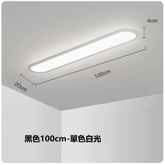 熱賣吸頂燈（白色100CM單色白光）