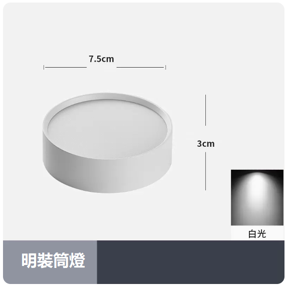 熱賣天花燈（5W_白光_白殼）