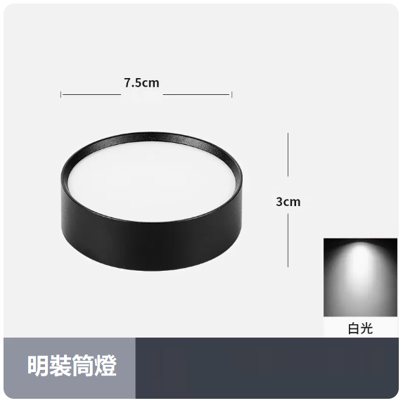 熱賣天花燈（5W_白光_黑殼）