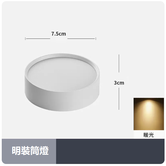 熱賣天花燈（5W_暖光_白殼）
