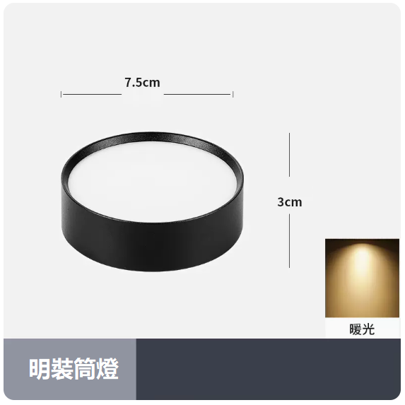 熱賣天花燈（5W_暖光_黑殼）