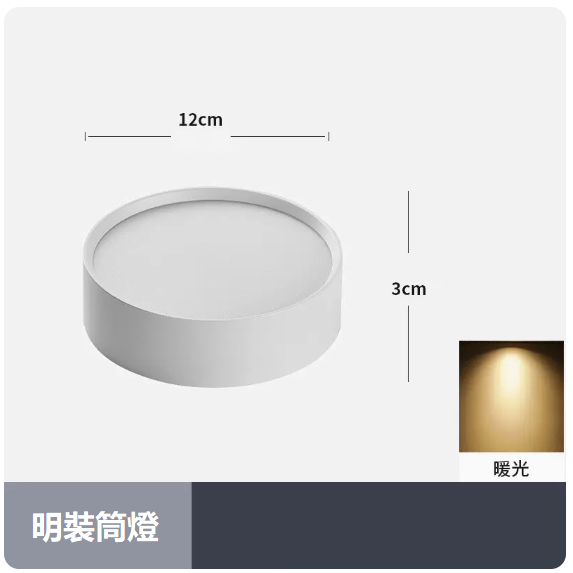 爆款天花燈（12W_暖光_白殼）