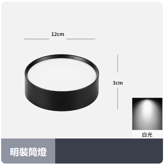 爆款天花燈（12W_白光_黑殼）