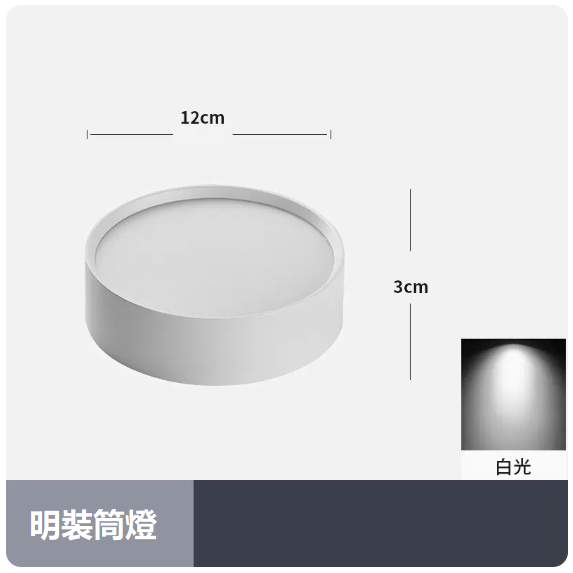 爆款天花燈（12W_白光_白殼）