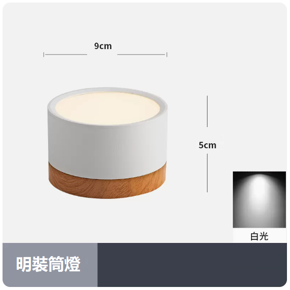 Popular ceiling lamp (7W_white light_white shell)