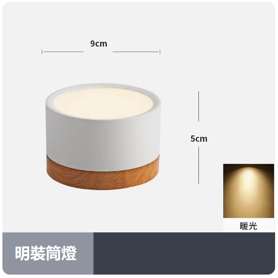 Popular ceiling lamp (7W_warm light_white shell)