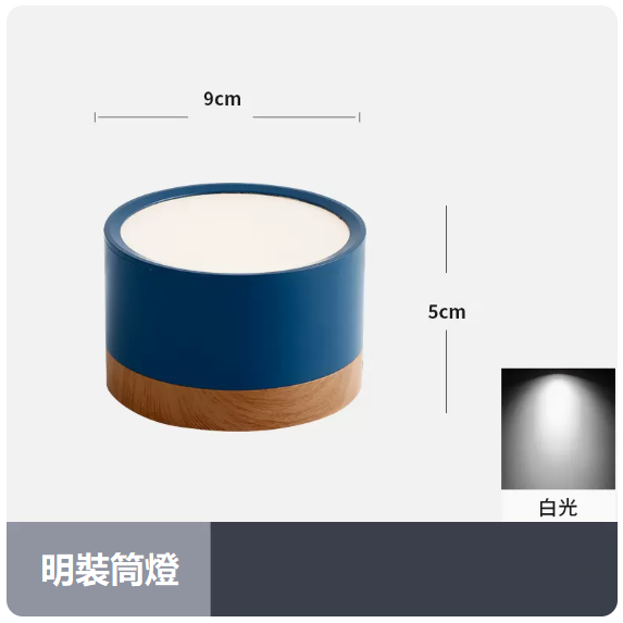 Hot style ceiling light (7W_white light_blue shell)