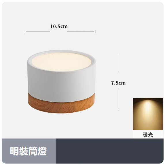 Popular ceiling lamp (12W_warm light_white shell)