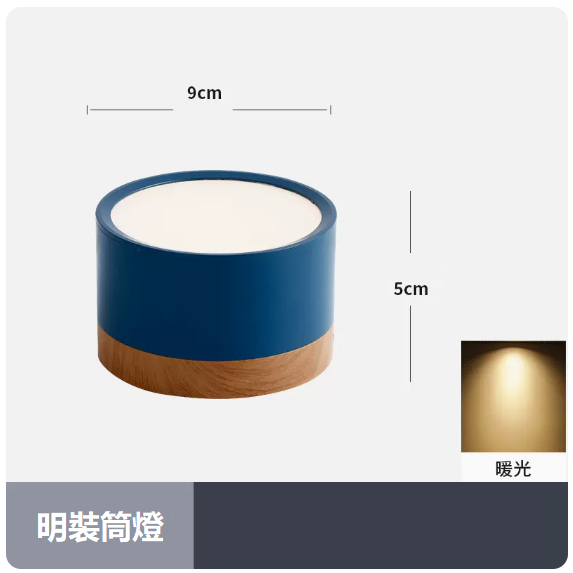 Popular ceiling lamp (7W_warm light_blue shell)