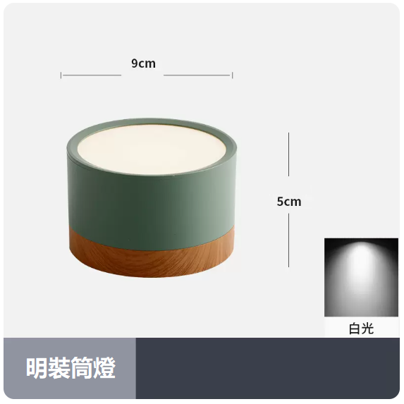 Hot style ceiling light (7W_white light_green shell)