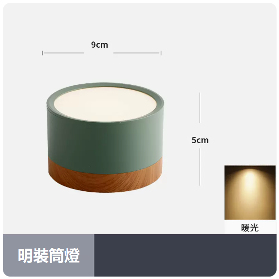 Popular ceiling lamp (7W_warm light_green shell)