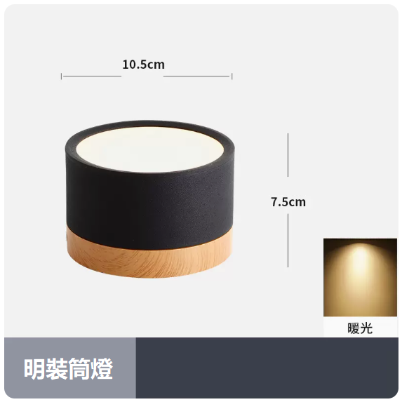 Popular ceiling lamp (12W_warm light_black shell)