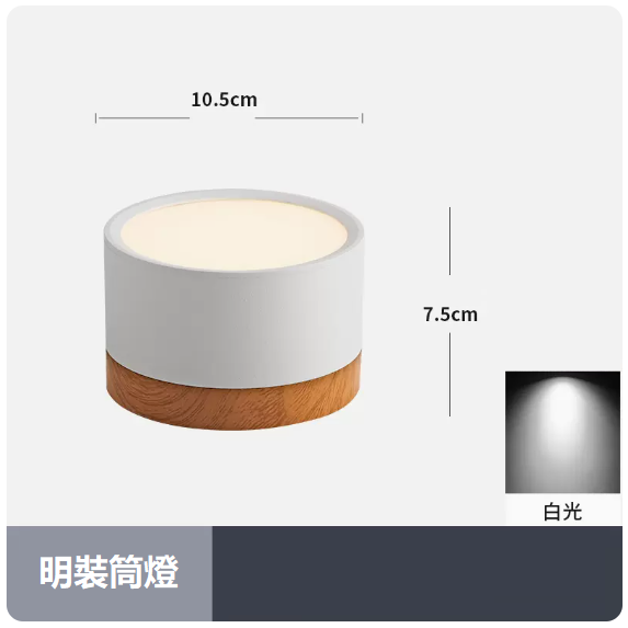 Popular ceiling lamp (12W_white light_white shell)