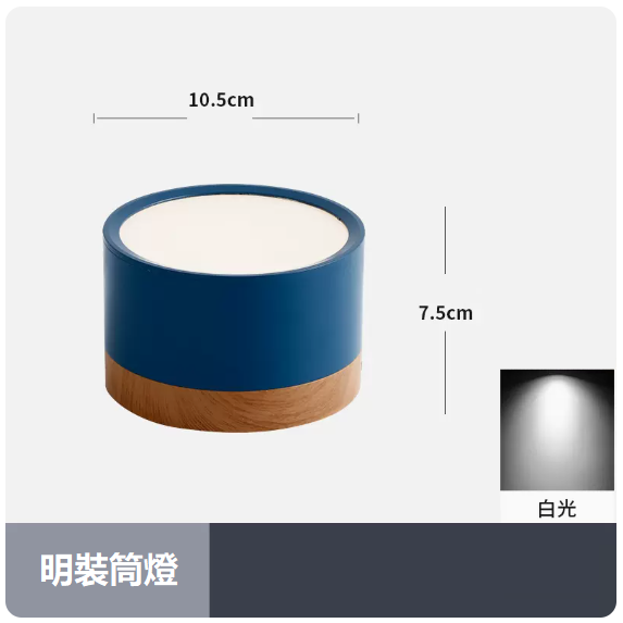 Popular ceiling light (12W_white light_blue shell)