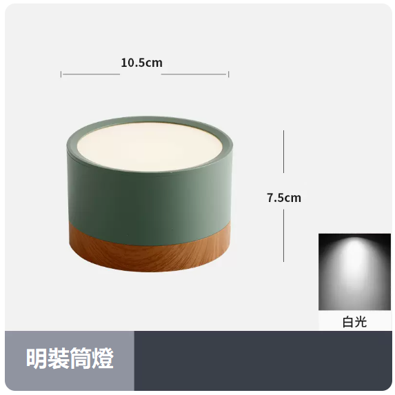 Popular ceiling light (12W_white light_green shell)