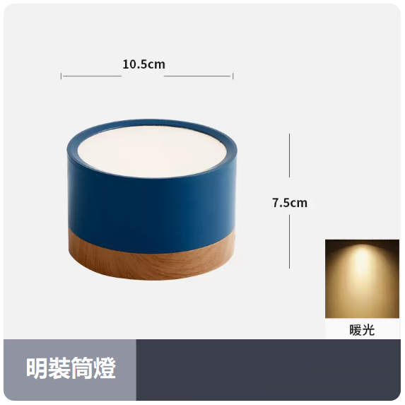Popular ceiling lamp (12W_warm light_blue shell)
