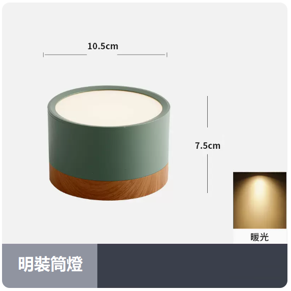 Popular ceiling lamp (12W_warm light_green shell)
