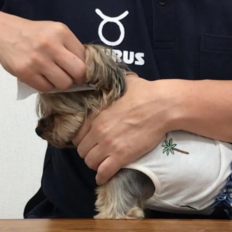 TAURUS 耳垢對策濕紙巾 (30枚入)