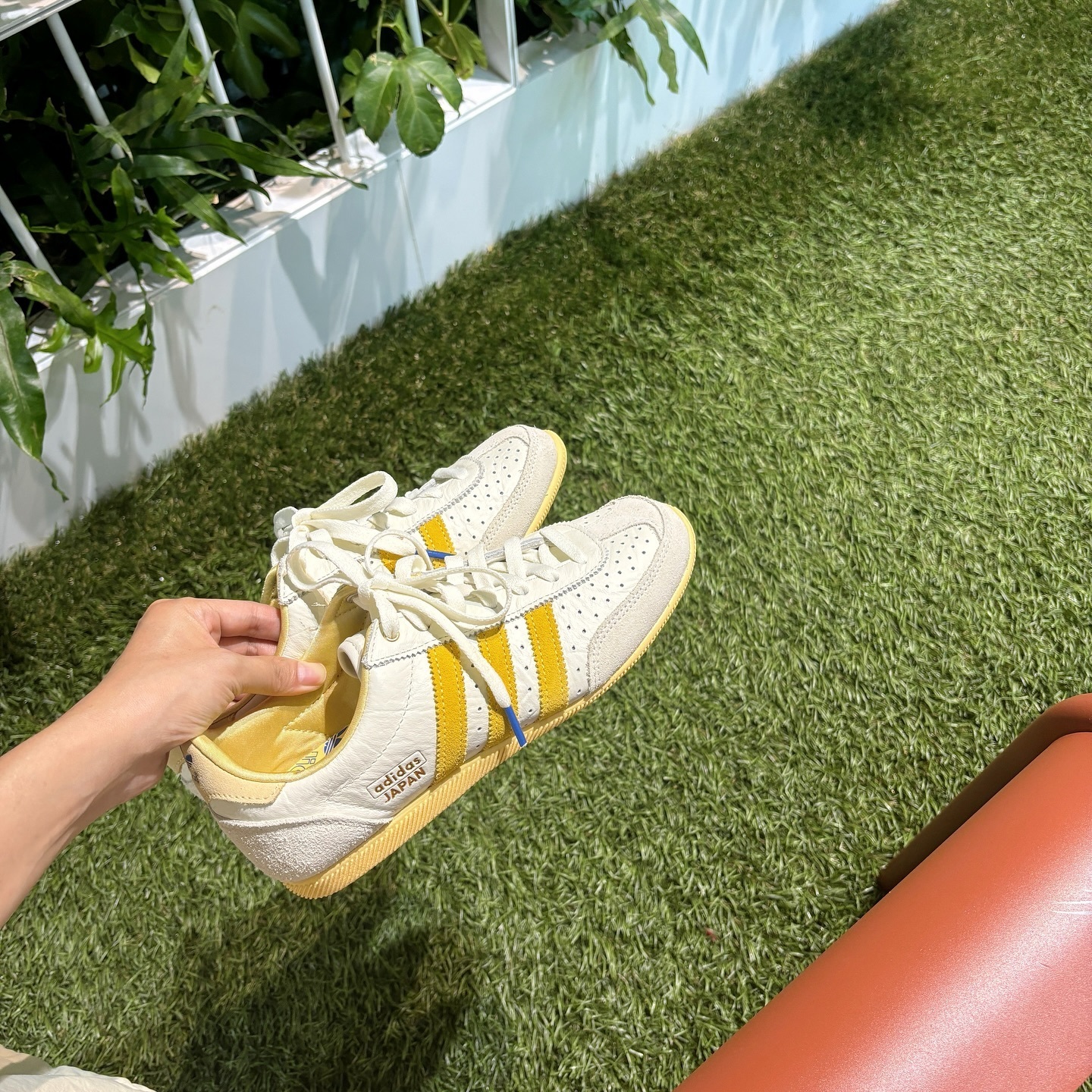 Adidas Originals Japan 日本新發售 奶油黃 黃色 德訓鞋 IG2011