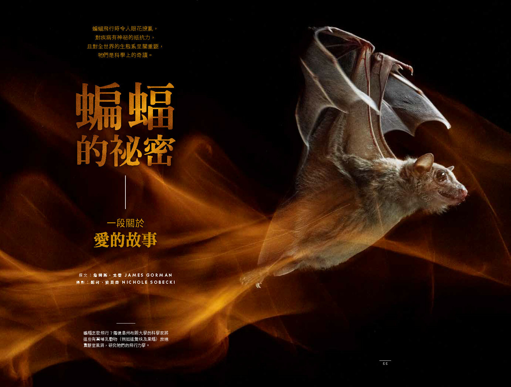 《國家地理》雜誌273期2024年8月號：塞納河 準備好了嗎？