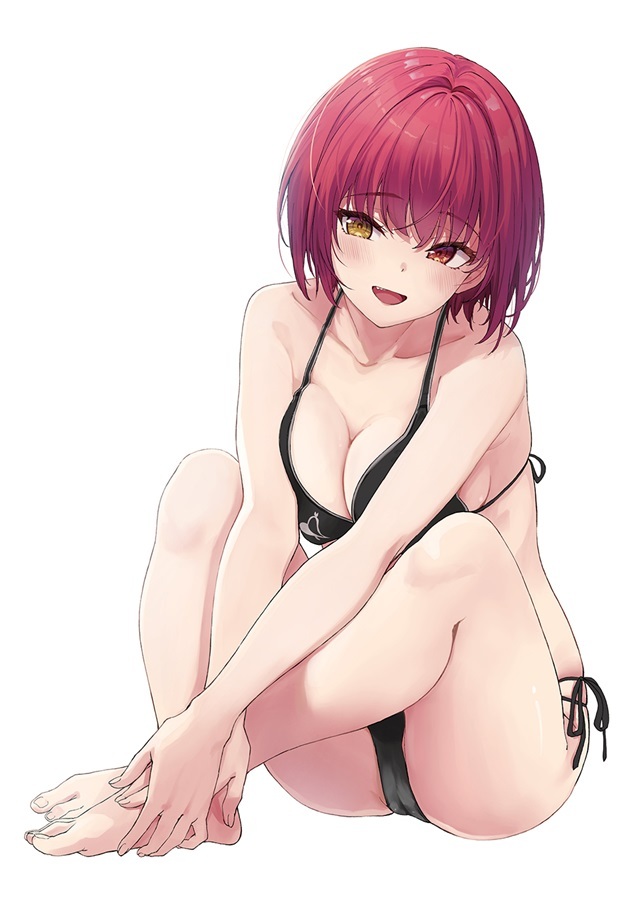 C104 「同人代購」「Melonbooks代購」HOLO SPLASH!!【特典付】