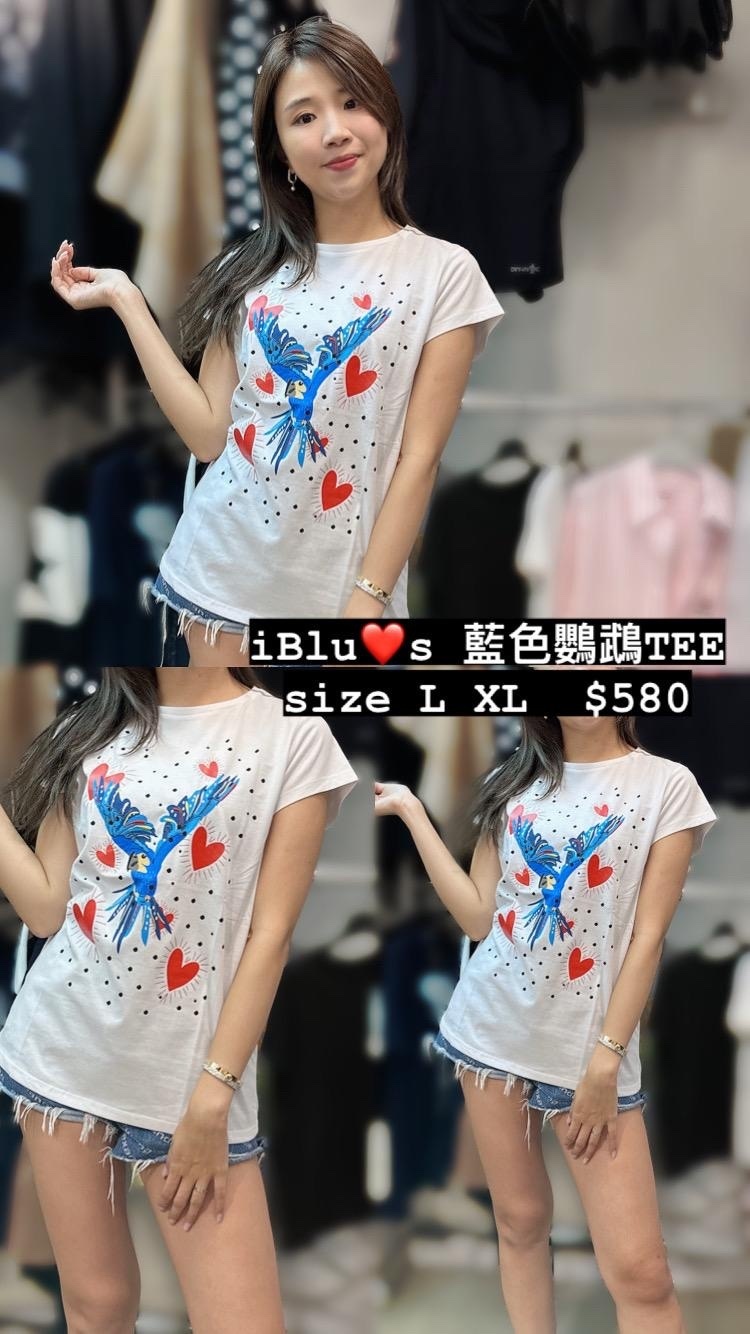 Iblues 藍色鸚鵡TEE -M