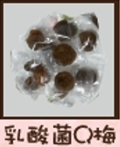 乳酸菌Q梅