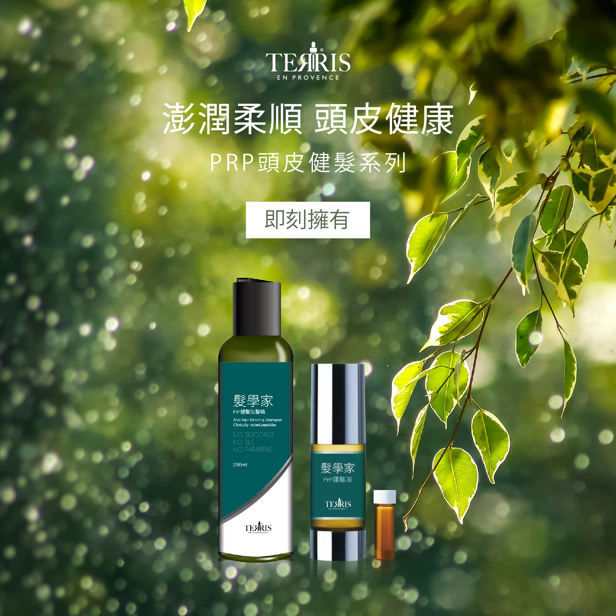 TREEIS髮學家_強健蘊髮專家