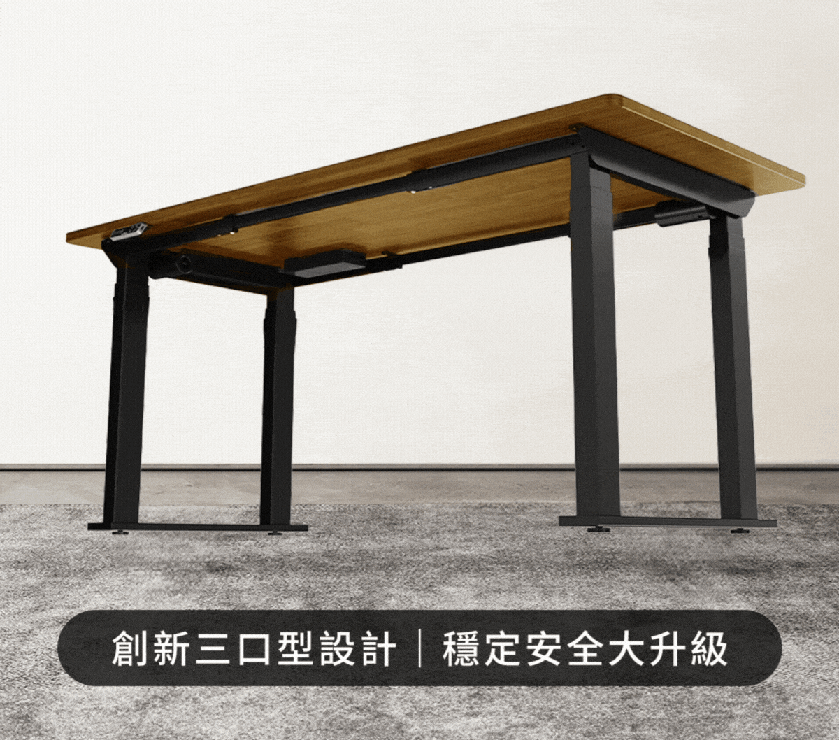 圖片介紹 圖片介紹