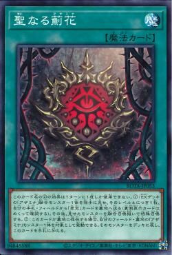 ROTA-JP053  聖なる薊花(アザミナ) (聖徒薊花)
