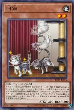 ROTA-JP026  回猫 (回猫)