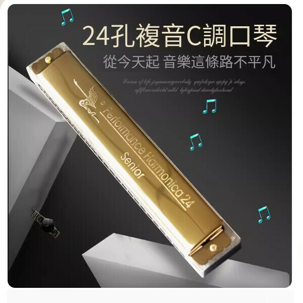 熱賣口琴（天鵝專業24孔口琴金色）