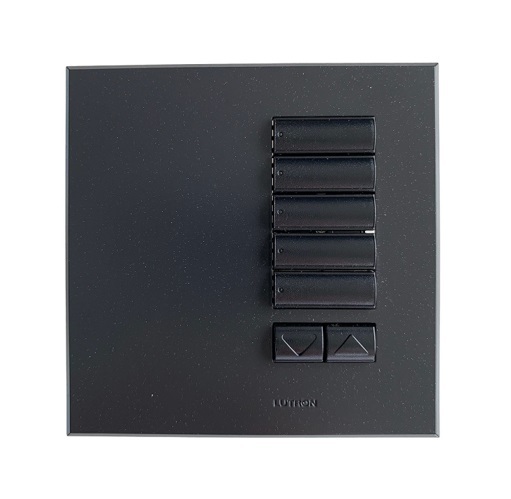 路創 QSWE-5BRLN-AW 5 個按鈕 INTERNATIONAL SEETOUCH QS 調光燈開關制 KEYPAD