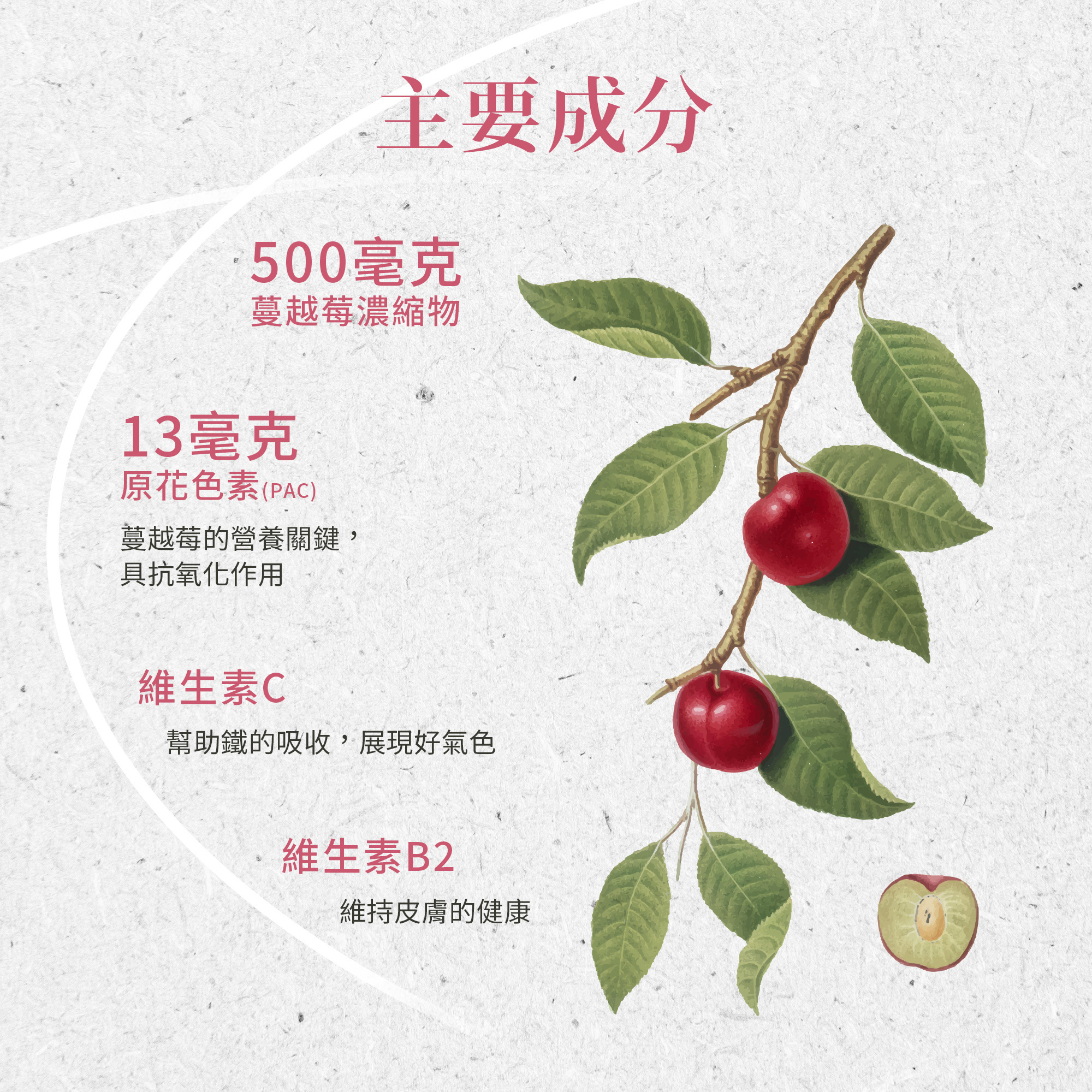 蔓越莓500mg精萃膠囊