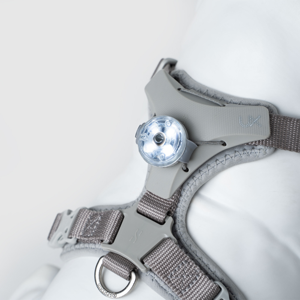 Explore｜ 寵物夜行燈