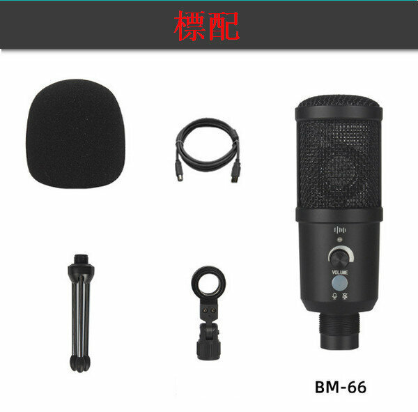 USB Condenser Microphone / Anchor Artifact BM-66 (Standard)
