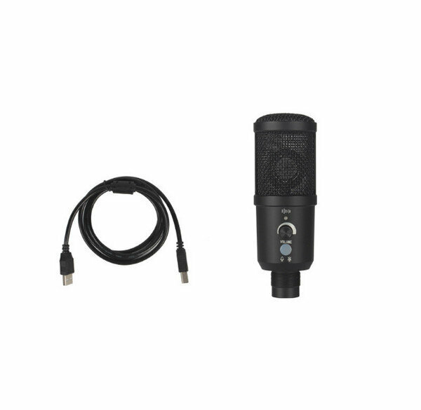 USB Condenser Microphone / Anchor Artifact BM-66 (Single Microphone + Cable)