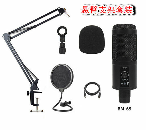 USB High Sampling Rate Condenser Microphone BM-65 (Cantilever Bracket Set)