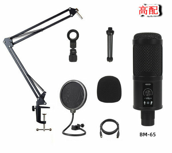 USB High Sampling Rate Condenser Microphone BM-65 (High Configuration)