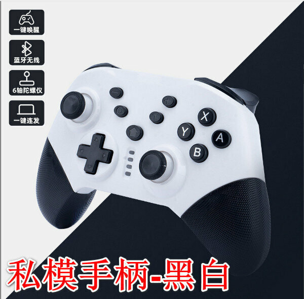 Wireless Gamepad - Joystick - Black & White