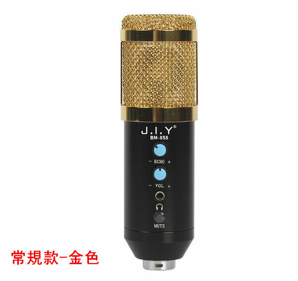 858 Condenser Microphone/Live Streaming Equipment Package-Regular-Gold (High Configuration)