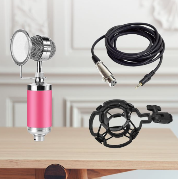 Live Microphone Microphone E300 Condenser Microphone Sound Card Computer Desktop Mobile Phone National K Song Recording Handheld (Baby Bottle Powder)