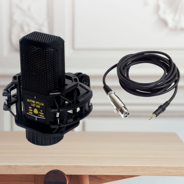 Live Microphone Microphone E300 Condenser Microphone Sound Card Computer Desktop Mobile Phone National K Song Recording Handheld (260 Square Microphone (Metal))