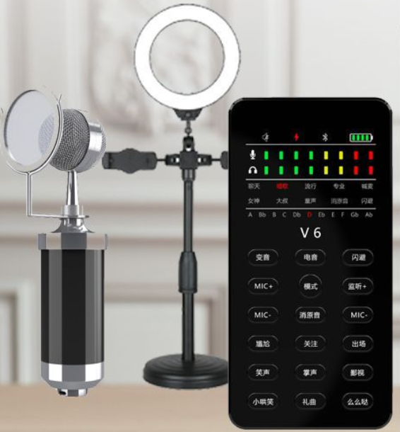 V6 Live Streaming Equipment Set (V6 + Baby Bottle Black + Duck Palm Microphone Bracket + 16CM Fill Light Desktop Bracket + Headphones + OTG (choose one of the two))