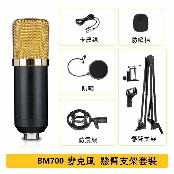 Microphone - BM700 Duckbill Wired Condenser Microphone (Cantilever Bracket Set)