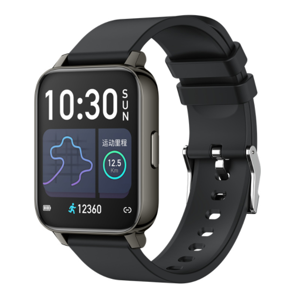 P36 Smart Watch 1.69 Large Screen Full Touch Heart Rate, Blood Pressure, Blood Oxygen Monitoring, Multi-sport Custom Dial Watch(Black)
