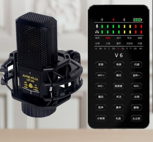 V6 Live Streaming Equipment Set (V6+260+Duck Palm Microphone Stand + Disc Mobile Phone Holder + Headset + OTG (Choose One of the Two))